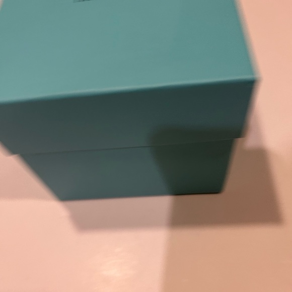 TIFFANY & CO CRYSTAL ORNAMENT CLEAR WITH FROSTED BOTTOM BRAND NEW WITH BOX - Picture 9 of 9